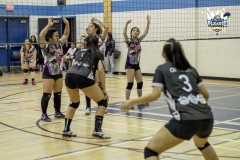 Game Photos (Week 2)